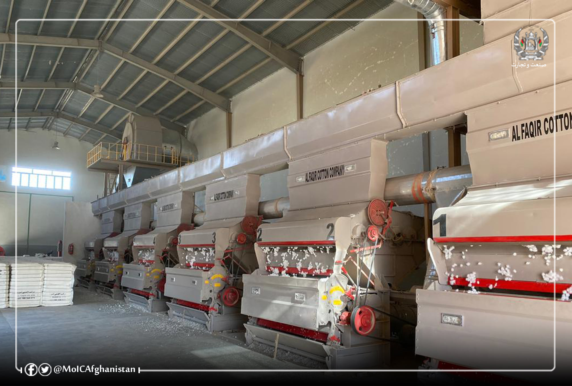 په کندهار کې دپنبې دتولیداتو زیاتوالی