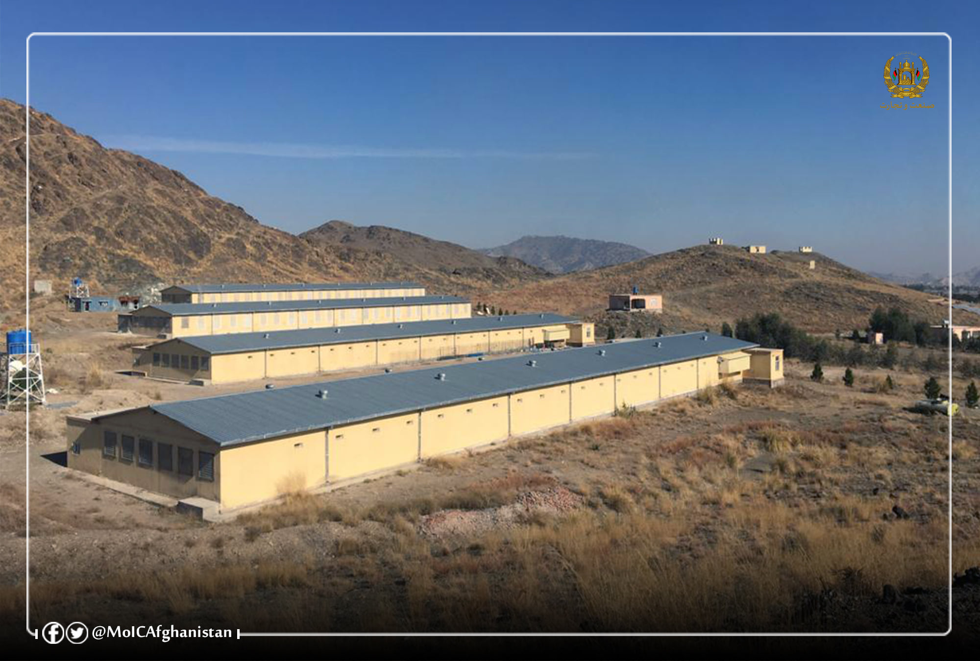 ولایت خوست در تولید گوشت مرغ‌فارمی به خودکفایی رسید