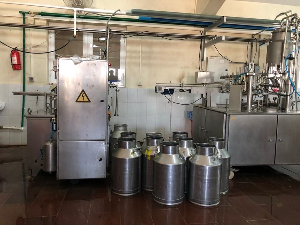 په لغمان کې دلبنیاتو لومړنۍ فابریکې په فعالیت پیل وکړ