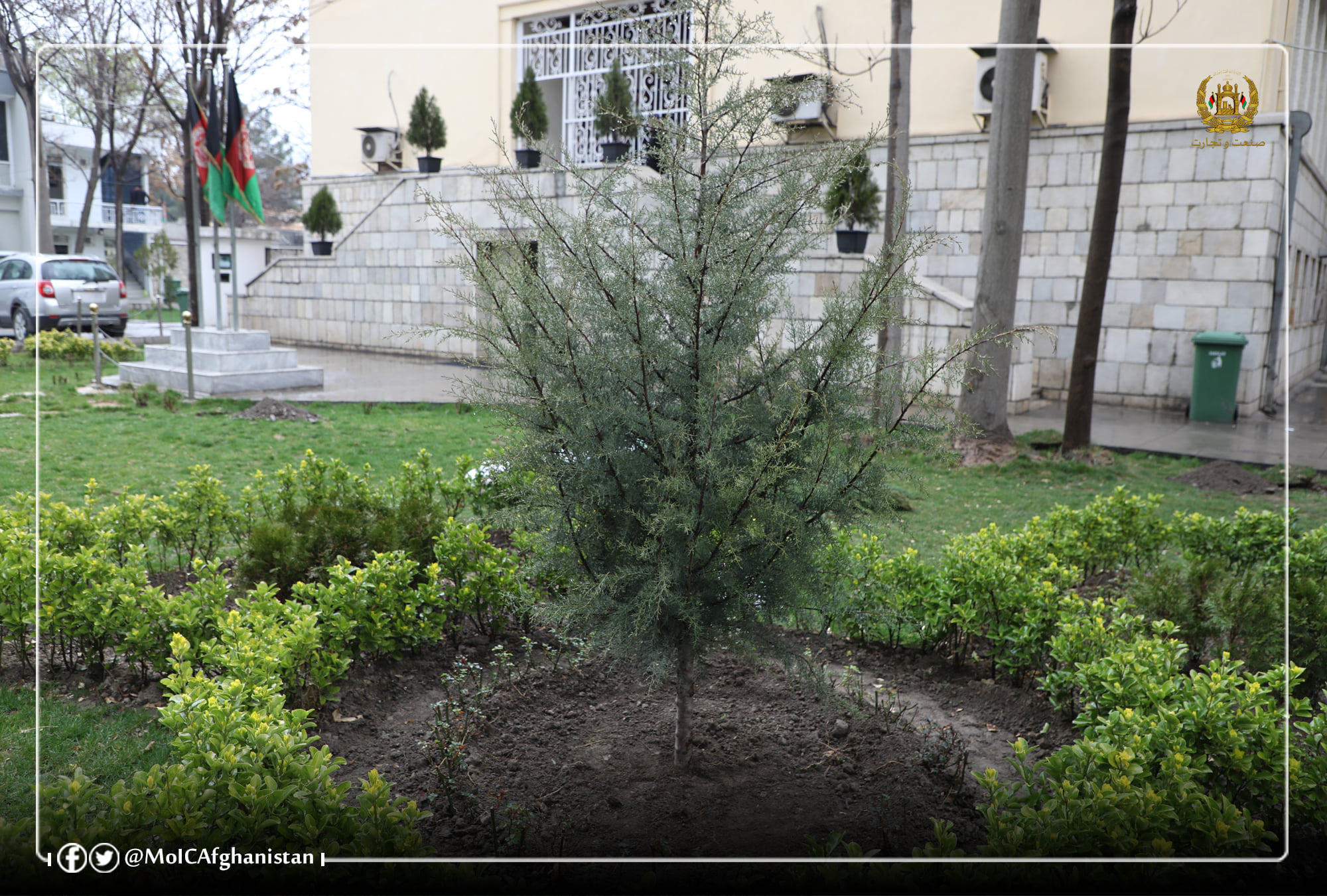 په صنعت او سوداګرۍ وزارت کې دنیالگیو دکرلو دپروسې پیل