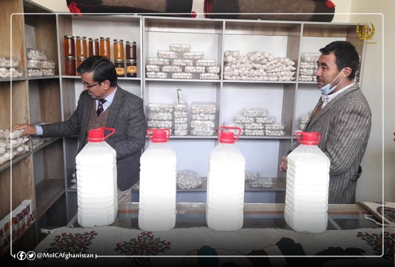 په بامیانو ولایت کې دلبنیاتودپروسس او بسته بندۍ دیوه مرکز پرانیسته