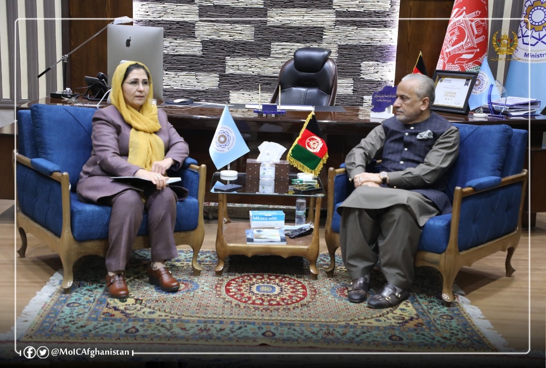 دیدار وزیر صنعت و تجارت با وزیر اقتصاد