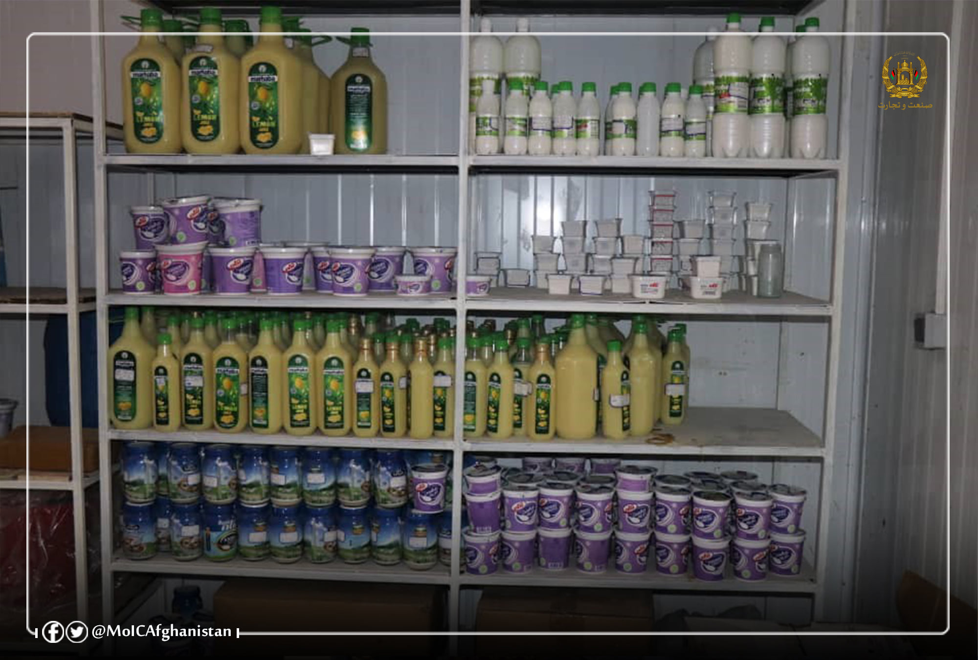 افزایش سطح تولیدات لبنیات در ولایت هرات