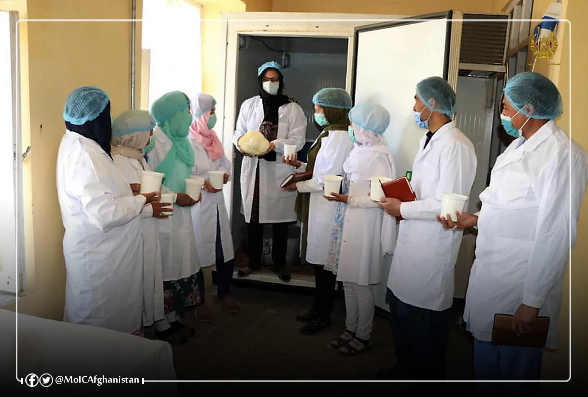 په دایکندي ولایت کې د لبنیاتو تولید زیاتوالي