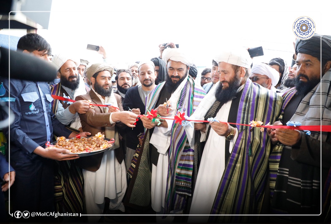 د پریمینځونکو توکو د فابریکې پرانیستل