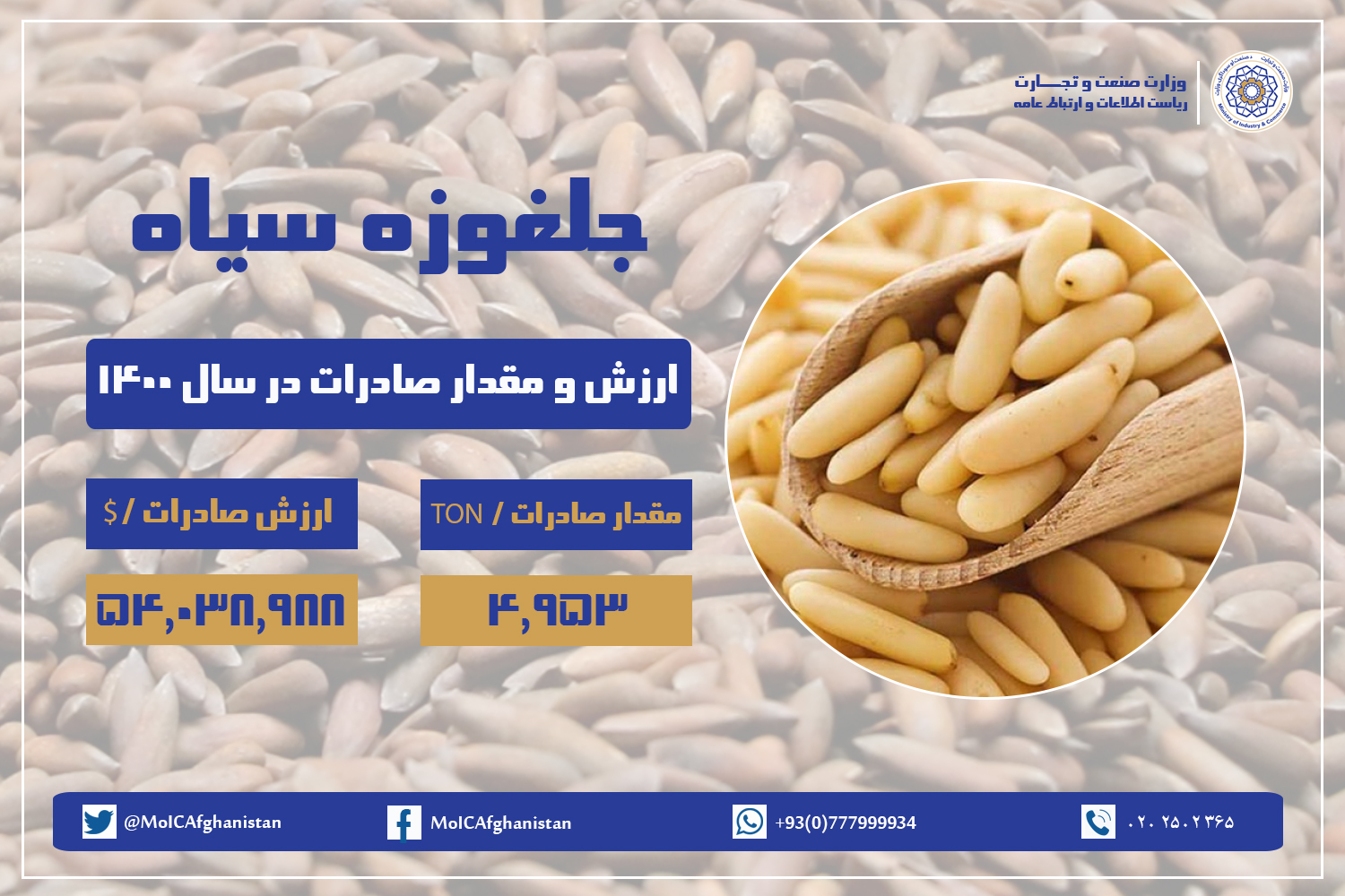 جلغوزه‌سیاه