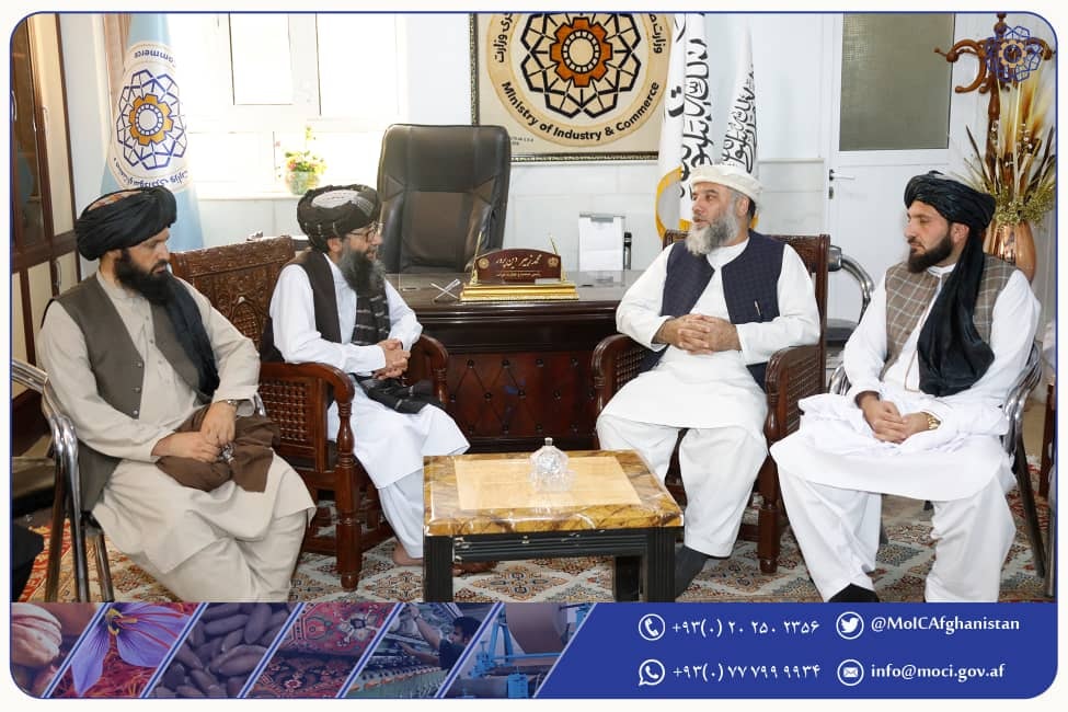 بازدید سرپرست وزارت صنعت وتجارت از ریاست صنعت و تجارت ولایت هرات