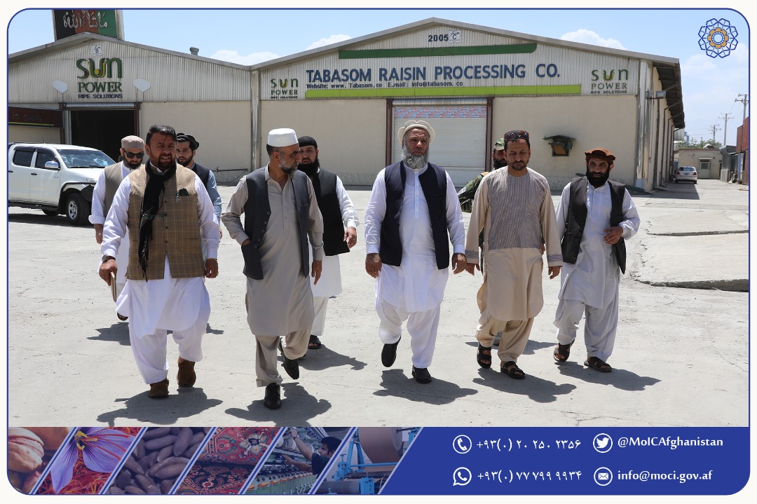 بازدید سرپرست وزارت صنعت و تجارت از فابریکه‌ی پرؤسس کشمش تبسم