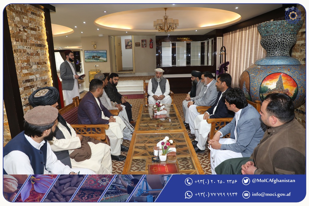 دیدار سرپرست وزارت صنعت و تجارت با اعضای اتاق صنایع و معادن هرات