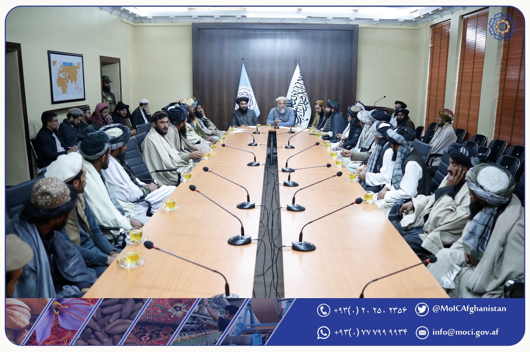 رسیدگی به مشکلات  صادرکنندگان جلغوزه