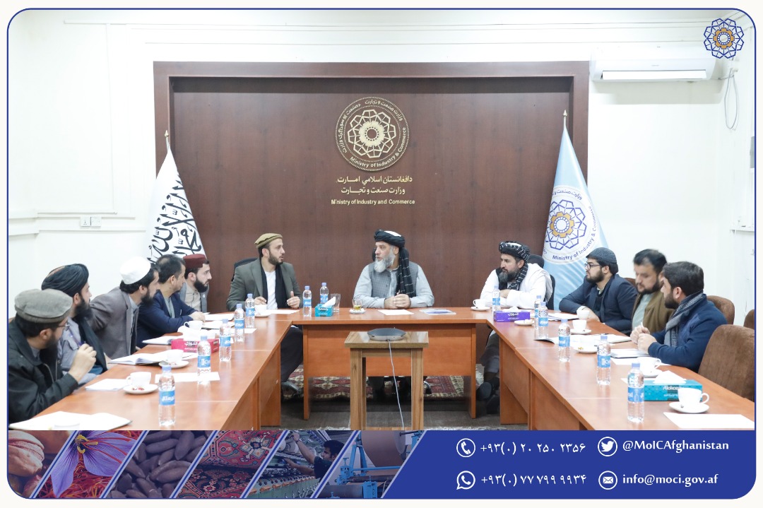 بحث روی سرمایه‌گذاری مشترک با نمایندگان سکتور خصوصی جمهوری تاتارستان و جمهوری اسلامی ایران در افغانستان