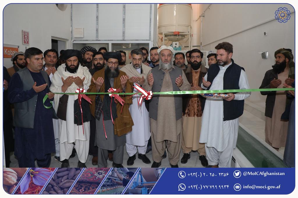 فابریکه گندم کوبان هری افتتاح گردید