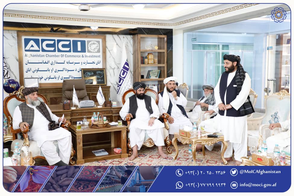 دیدار با اعضای اتاق تجارت و سرمایه‌گذاری قندهار