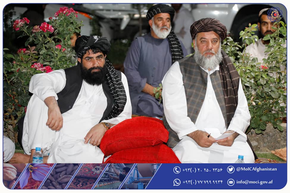 دیدار سرپرست وزارت صنعت و تجارت با اعضای اتاق صنایع ومعادن ولایت قندهار