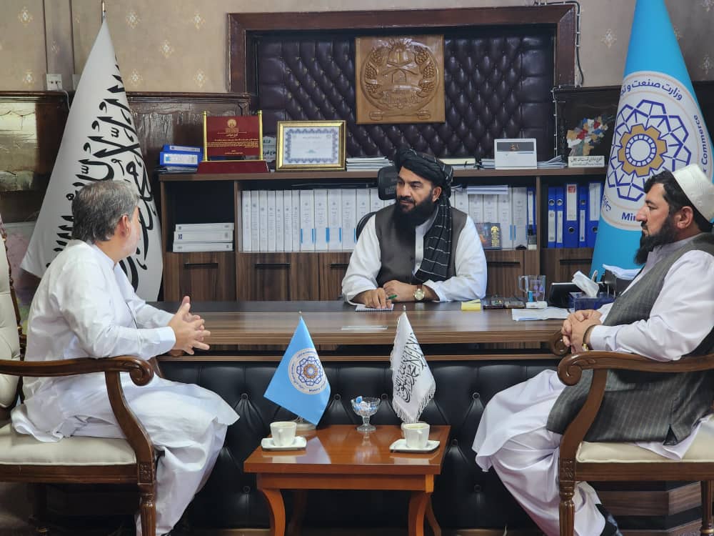 د ساینو افغان شرکت استازو د سوداګرۍ وزارت له مرستیال سره وکتل