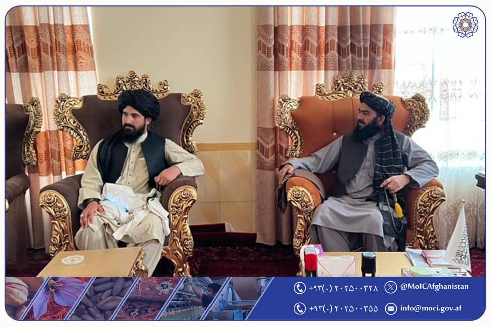 معین وزارت صنعت و تجارت با تاجران ولایت فراه دیدار نمود