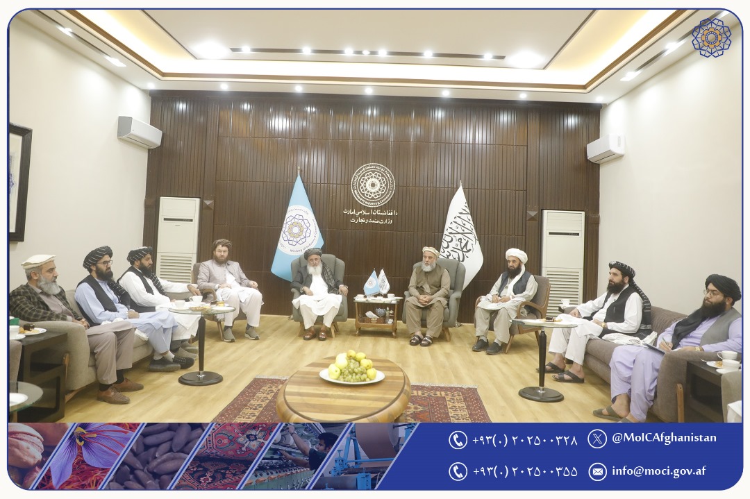 Discussion Holds Regarding the Activation and Establishing New Cold Storage Facilities