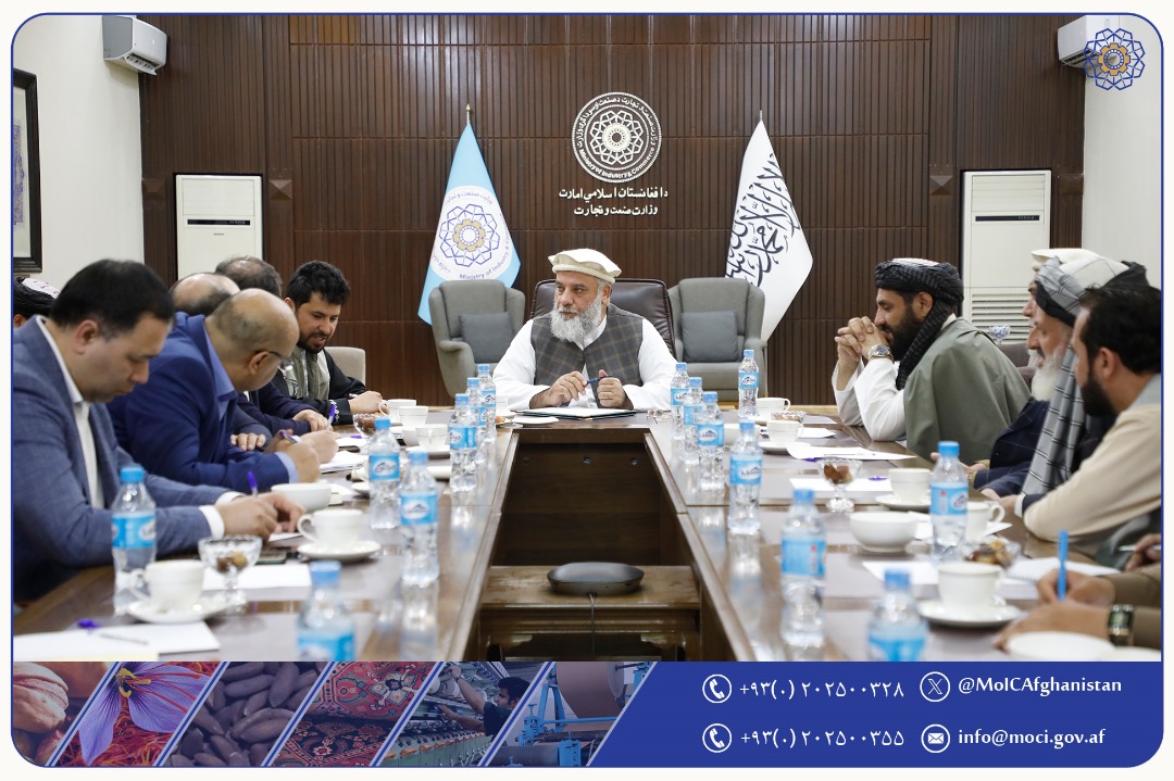 Meeting with an Investor From the Republic of Uzbekistan