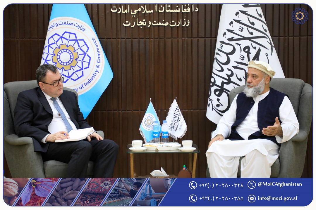 ملاقات شارژدافیر کشور ناروی با سرپرست وزارت صنعت و تجارت