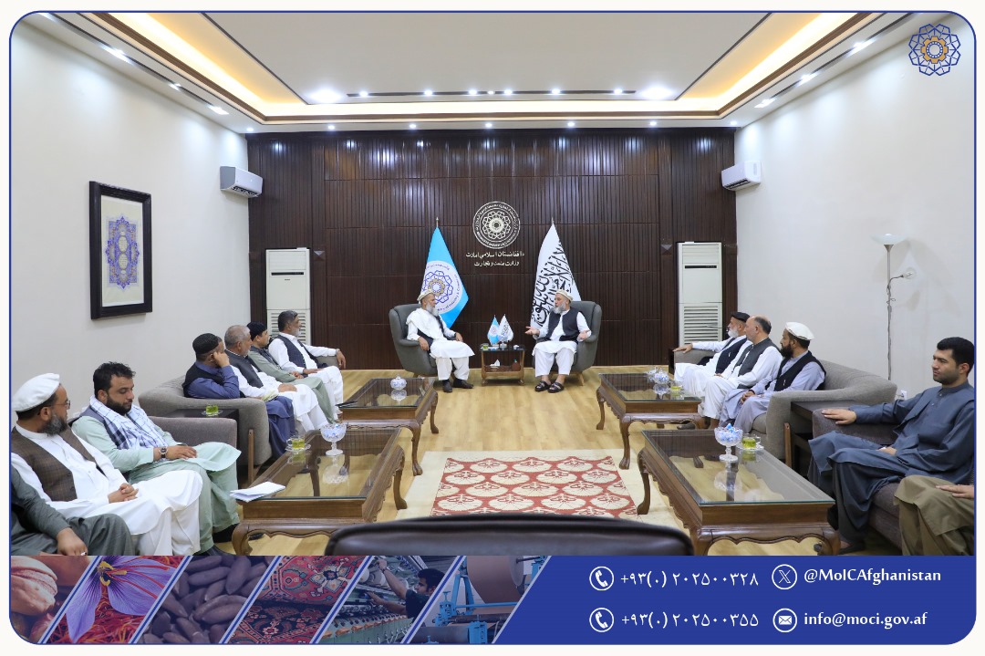دیدار هیئت رهبری اتاق تجارت و سرمایه‌گذاری ولایت ننگرهار با سرپرست وزارت صنعت و تجارت